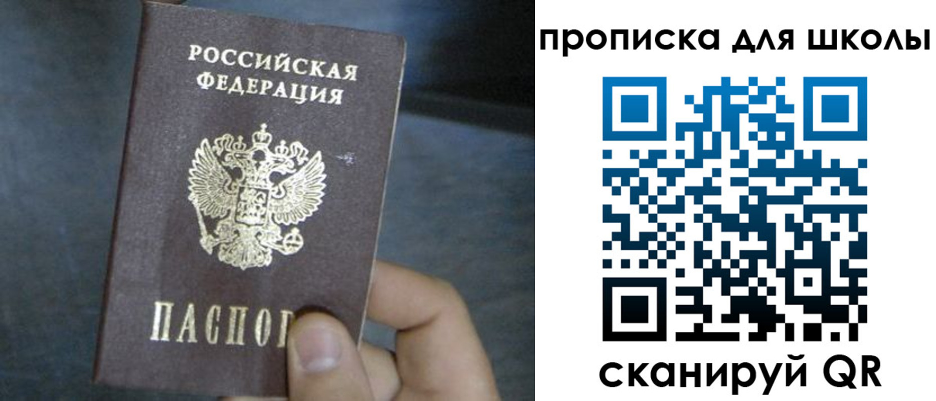 прописка поиск в Новочебоксарске